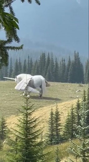 A Giant Unicorn-Like Creature Caught on Camera Deep in the Forest 😱 | Myth or Reality?