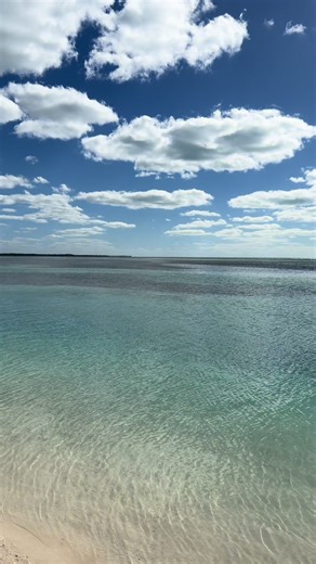 Stop scrolling… this is your sign to take the vacation 🌊 Would you float here all day or explore the island? 👇 #T#TravelWithAprilA#AprilTheTravelAdvisorC#CocoCayR#RoyalCaribbeanCruiseTok
