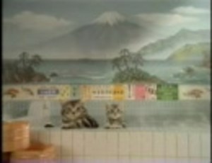 【CM】 マルハ ペットフード 黒缶 「銭湯猫」