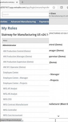 NetSuite Role Changes