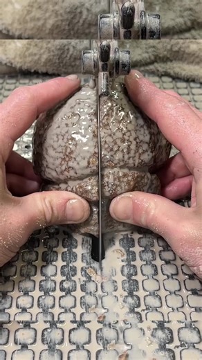 Exploring Water Level Bands in Brazilian Agate