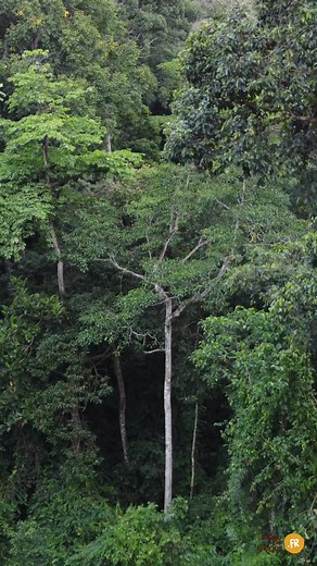 轢 Créez votre propre safari au Ouganda | Safari En Afrique | Facebook