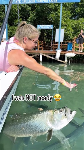Courtney Ann Bright on Instagram: "Y’all this was just a tiny bit scary but such a blast 😂 I got my hand scratched when I did it a second time 😳😂 #excursions #anxiety #ah #gotme #island #oceancreatures"