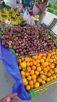 Buying $4.50 Bag of Fresh Fruit In Vietnam