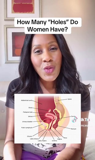 Understanding Female Anatomy: How Many Holes Do Women Have?