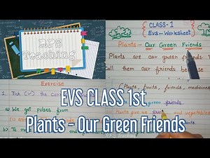 1st Class EVS Lesson Plants Our Green Friends with Questions and Answers | 1st class EVS worksheet
