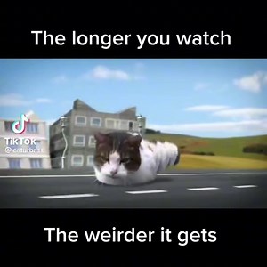 Happy caturday 🐈‍⬛ Original video by Cyriak | Serum