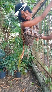 2M views · 21K reactions | Why Always Me?  #Cat #Garden #Encounters IG//chivilard2 | Olima Omega | Facebook