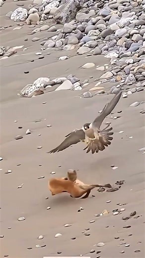 #quran #القران كلام الله سبحانه وتعالى