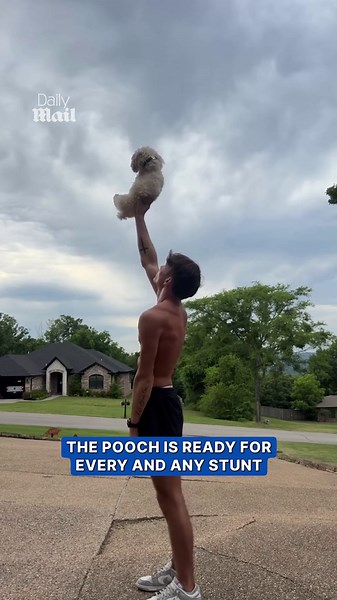 Dog performs synchronized cheerleading routine