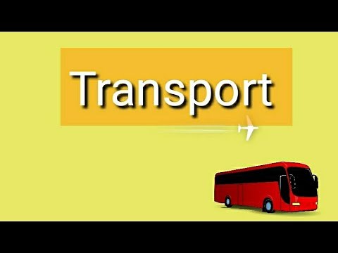 Transport Flashcards 🏍️|Transport Vocabulary| English for Kids