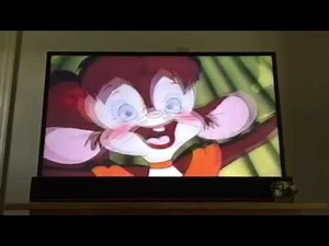 Opening to Paulie 1998 VHS