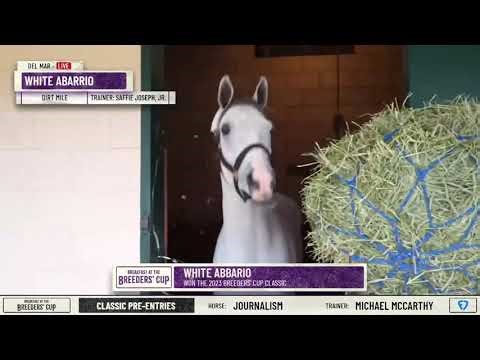 WHITE ABARRIO Has Shipped in to Del Mar With Travel Companion Brownie The Goat