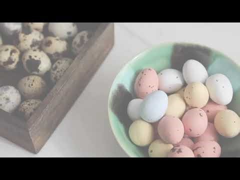 How Long Do Hens Lay Eggs Efficiently? 🐔🥚