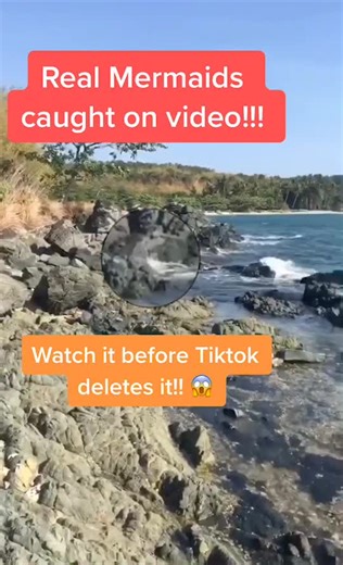Real Mermaids Caught On Camera