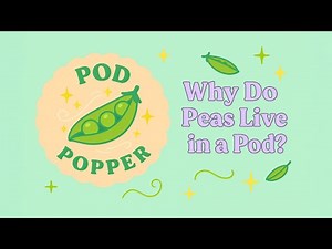 Why Do Peas Live in a Pod? 🌱 | Kids’ Food Discovery Club