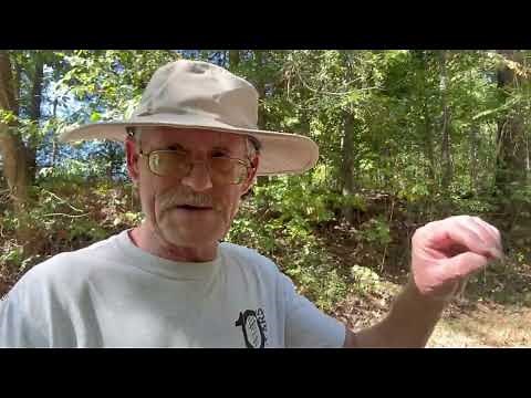 “Debt = Slavery: Why I Chose to Live Free, Not Fancy | Offended Outcast Nature Walk n Talk"