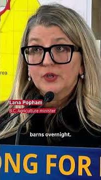 Hundreds of Abbotsford properties remain under evacuation order or alert amid flooding