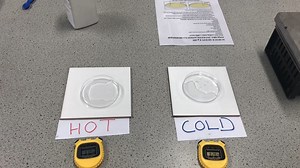 3 comments | Year 8 Science Students‍‍ Please watch the video attached for your Year 8 Science Experiment on Crystals. This will help you with your work on covering suspensions and solutions. You can also find this on SharePoint: ps://qedu-my.sharepoint.com/:v:/g/personal/mlync68_eq_edu_au/ESkFIlDK2_FMlSUB1Na6HIcBpszPoBoKa4tzd0k8DJPrWA?e=Do9uCk #learningathome #makoslearningtogether #beready #getbetter #marsdenstatehe #sciencemakos | Marsden State High School | Facebook