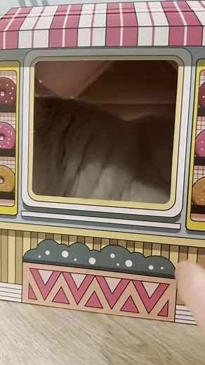 Terrible customer service! Leaving a one ⭐️ review at Donut’s Donut shop 🍩😂#donuts #catsofinstagram #customerexperience #catlover #funnycats #reels #funnyvideos #funnyreels | A Cat Called Donut