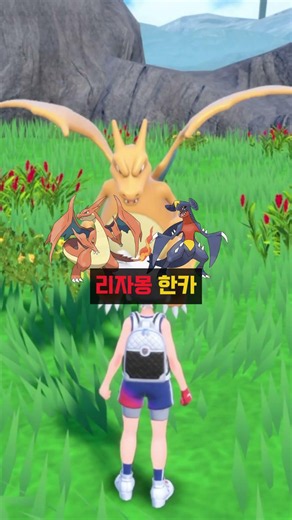 무관의 아이콘 리자몽