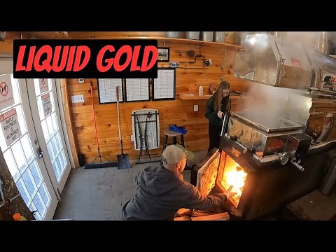 Making Maine maple syrup with perfect flavor