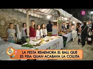 XXV Festa del sequer a Lloret de Vistalegre