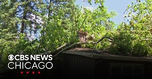 Disaster recovery center opening at Chicago's Douglass Branch Library after tornadoes