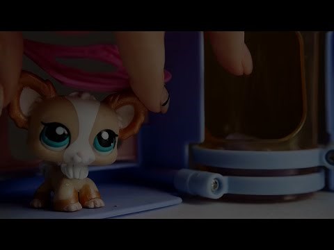 LPS: Bully School (Part 5 - Running From Trouble) | LPSskittles