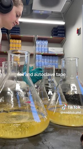 Preparing 6L LB for Protein Purification Research