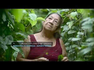 The Journey - Butterfly Farming