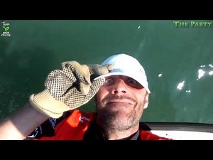 The Party (Team MICH PÊCHE)