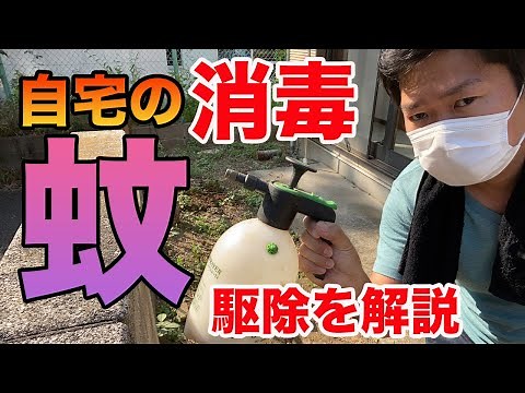 【実用的】蚊の駆除のための消毒を庭師が自宅で解説します