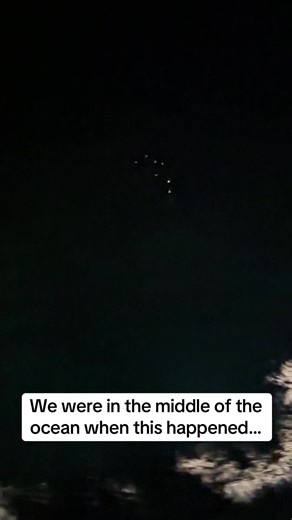 POV: You’re on a cruise in the middle of the Caribbean and glowing creatures with wings start swimming past the ship 😳✨ Not fish. Not jellyfish. It’s flying fish lighting up bioluminescent water, and it looks unreal 🌊💫 OceanMagic #NatureIsWild #OnceInALifetime #CruiseTok #UnrealMoments