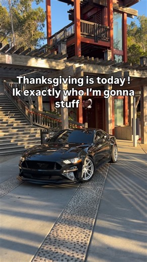 @shlow5.0 on Instagram: "Are you ready 🦃. #mustang #thanksgiving #stuffing"
