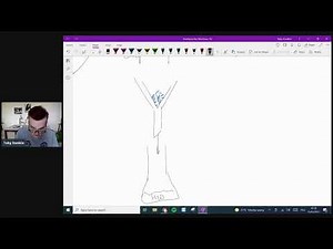 iGCSE Chemistry Acid base L9: Salt preparation
