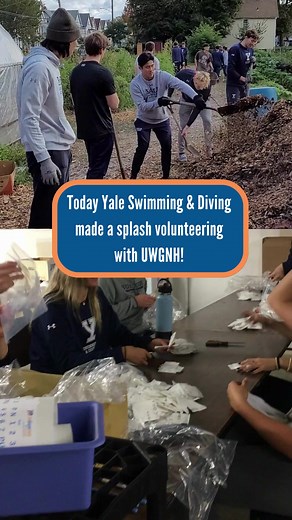 Thank you to Yale Swimming and Diving for coming out and volunteering this morning with us at The Diaper Bank CT and Gather New Haven's gardens!  #LIVEUNITED #UnitedInPurpose #newhaven #volunteerism #yale #volunteer #community #impact #garden #diaperbank #volunteerwithus #students | United Way of Greater New Haven | Facebook