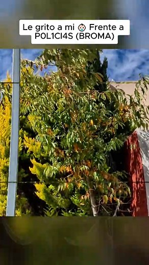 5.3K views · 20 reactions | #cops #hunter #bounty #bountyhunter #bountyhunterD P14 | Bounty Hunter D FC | Facebook