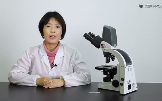 光学显微镜使用