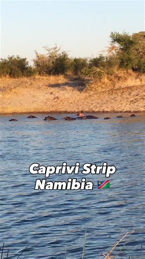 Diana Holder on Instagram: "“The strip” - Caprivi strip in Namibia 🇳🇦 with its abundance of hippos and teeming with wildlife… 🦛"