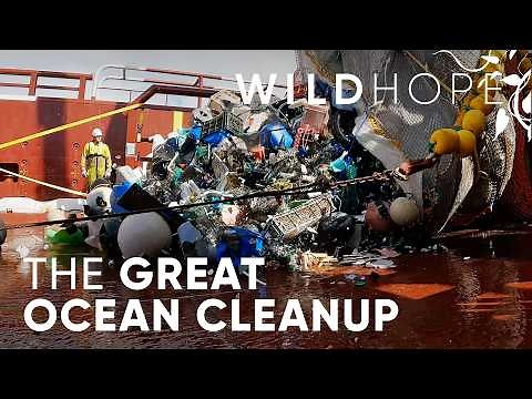 Can Boyan Slat Stop Plastic Pollution at its Source | WILD HOPE