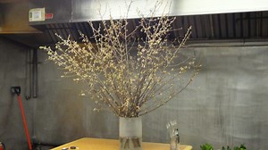 Flower Shop Blooms into Main St. Storefront