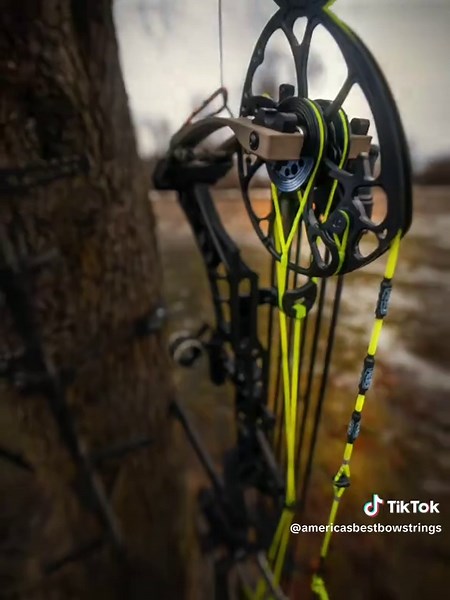 Heard Bowtok is getting on this trend. #bowhunting #bowtok #huntingrig #americasbestbowstrings #bowbuild #custombowstrings #archerytok #CapCut