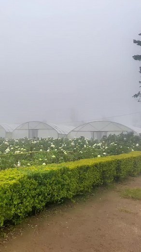 Discover the Enchanting Beauty of Nuwara Eliya in Sri Lanka