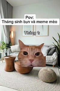 145K views · 6.4K reactions | Bạn thì tháng mấy? #cat #catmeow #catmeme #meme #funny #haihuoc #giaitri #vuinhon #viral #xuhuong #fyp #foryou #reelsfb #reels | Page này đã bị con mèo | Facebook
