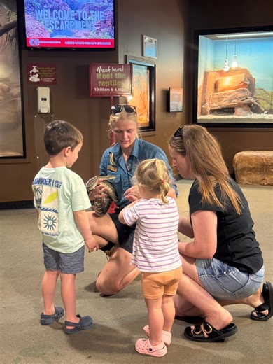 At Crocosaurus Cove, we mix excitement with education. 🤩 Expect a full day of presentations, expert talks, live feeds and hands-on experiences from 9:30am - 4:30pm, 7 days a week! 🙌🏾 Head to our website to explore session times and book your tickets. https://www.crocosauruscove.com | Crocosaurus Cove Darwin