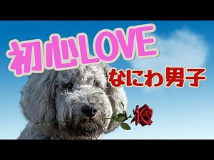 初心LOVE／なにわ男子【歌詞付き】