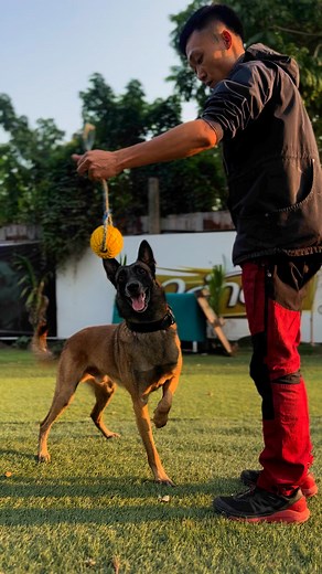 Orfeus Ostraryka | Trần Đạt
