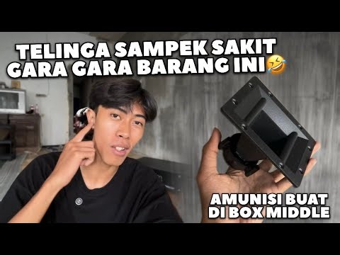 HOW DOES IT SOUND? 20 THOUSAND TWEETERS COST BUT THEY CAN MAKE YOUR EARS HURT😂