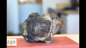 ‘Whale Vomit’ Found on Beach Could Be Worth $70,000